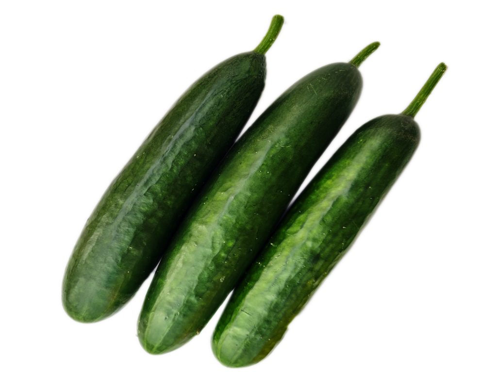 English Cucumbers Ivory Roots