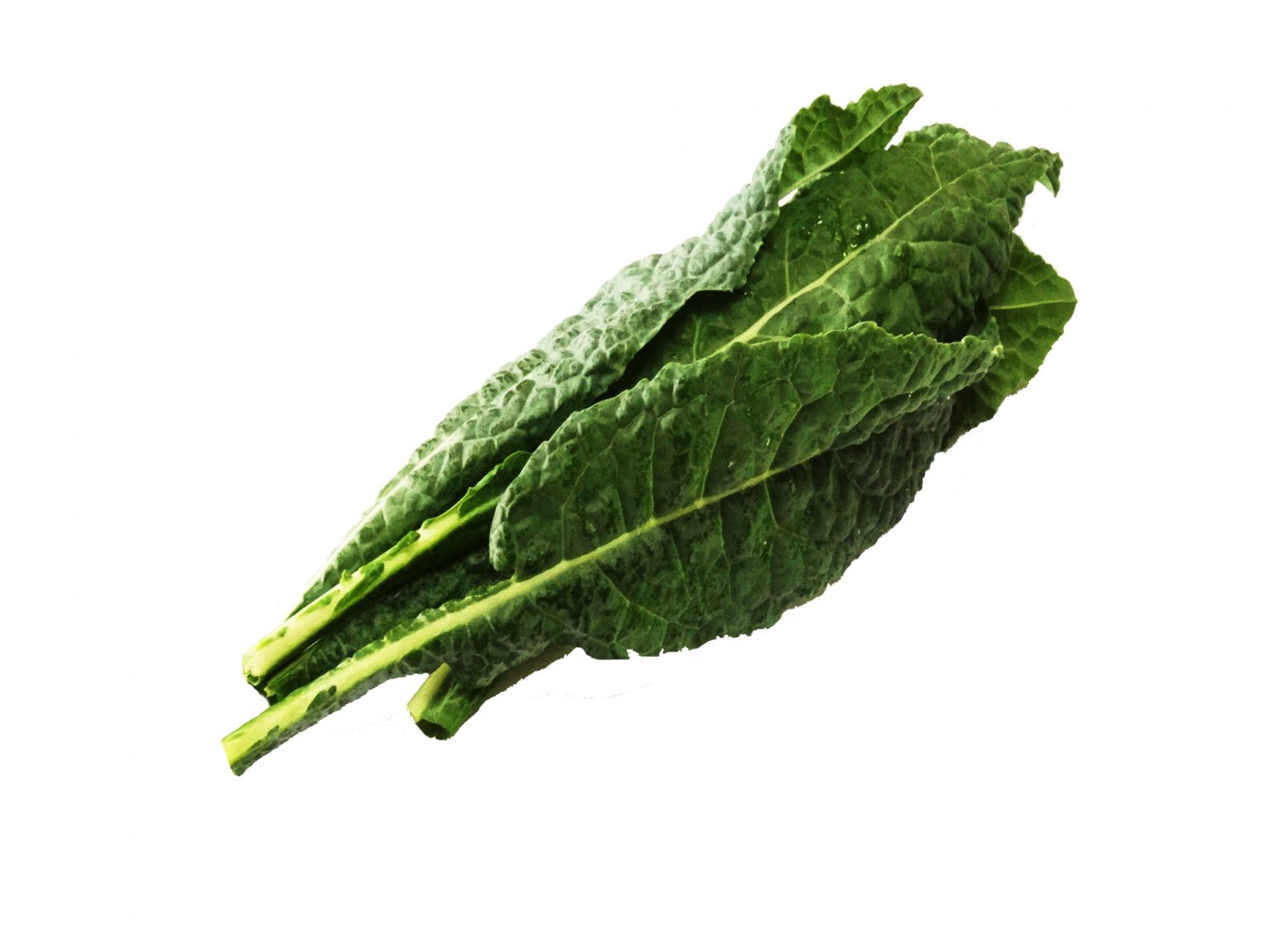 Dino Kale Ivory Roots