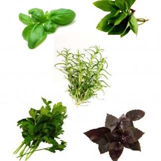 Fresh Herbs